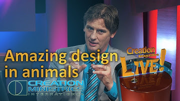 Amazing design in animals (Creation Magazine LIVE! 4-10)