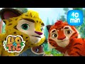 Leo &amp; Tig - Outono na taiga  e mais episodios completos de Leo e Tig | Desenhos infantil 🐯🦁