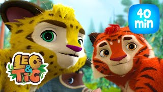 Leo & Tig - Outono na taiga  e mais episodios completos de Leo e Tig | Desenhos infantil 🐯🦁