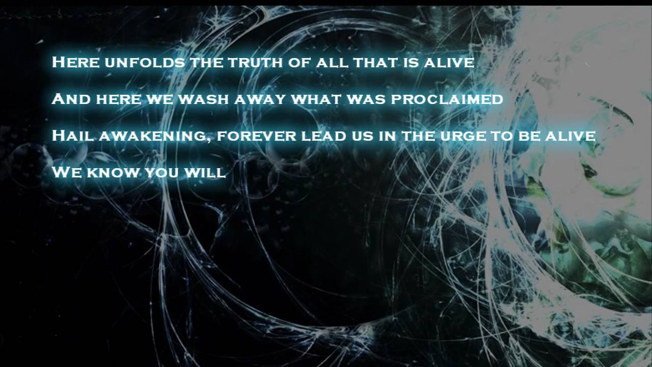 Scar Symmetry - Holographic Universe