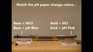 4D50.42 - Diffusion of Ammonia and Hydrogen Chloride