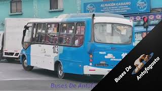 Maxibus Astor LO 914 Mercedes Benz | Trans Antofagasta 103