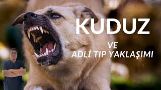 Kuduz Ve Adli̇ Tip Yaklaşimi