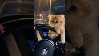 #kitab#bmw#eyes#lover