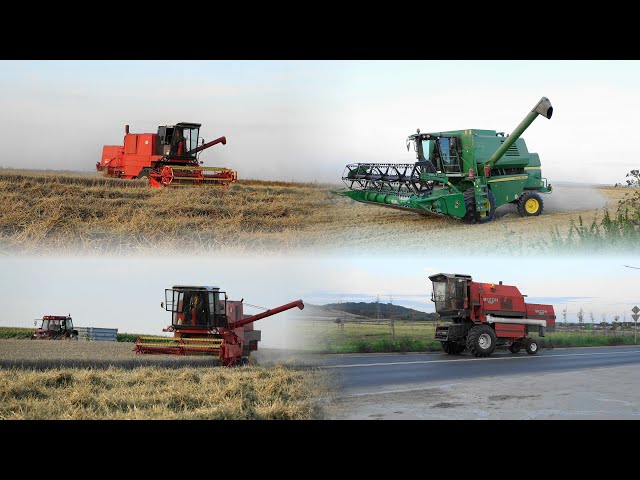 Żniwa 2023 || John Deere 1470 || Bizon Super Z056 & Rekord 5058