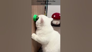 amazon finds tiktok: Catnip Toys for Cats