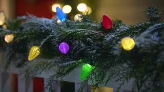 NOMA Advanced EverTough LED Lights