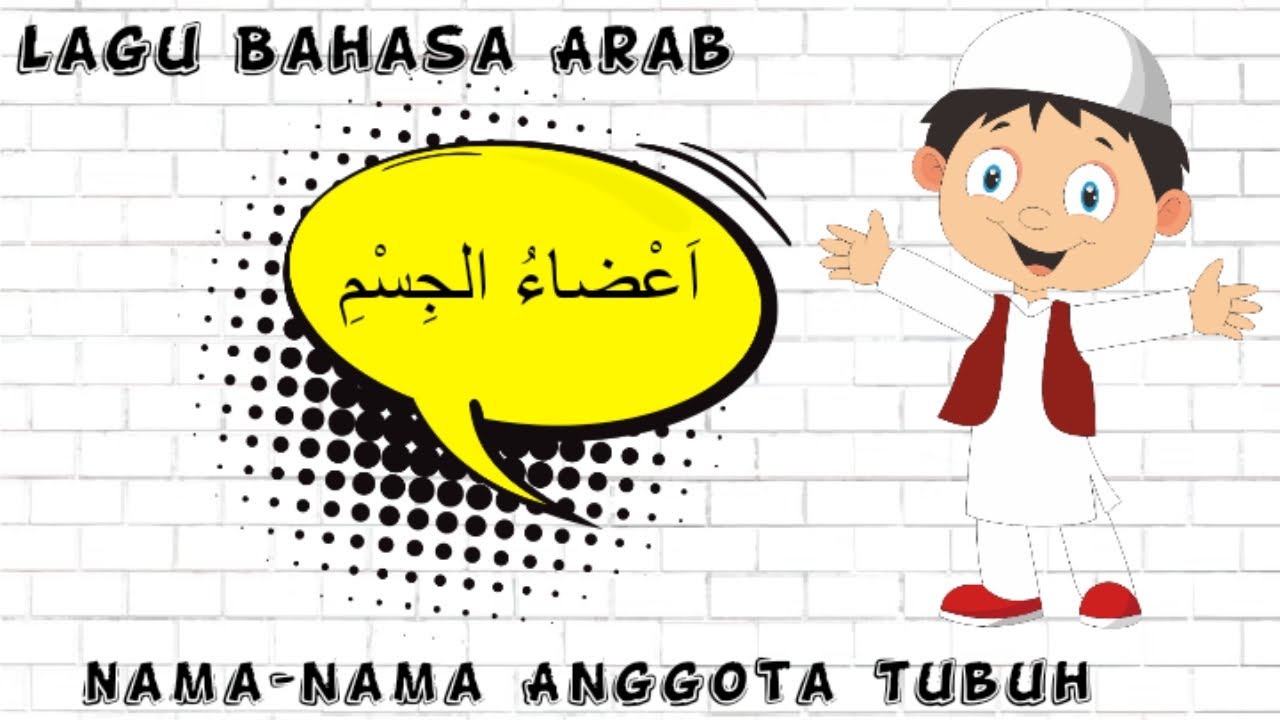 Lagu Bahasa Arab Anggota tubuh | Belajar Bahasa Arab - YouTube