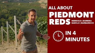 Piedmont Grapes  All About Nebbiolo, Barbera, Barolo, & Barbaresco from Piedmont, Italy