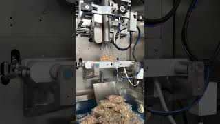 Vertical packaging machine