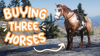 Buying THREE Horses!  Red Dead Redemption 2 Online