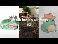 Tik Tok but it's all frogs #2