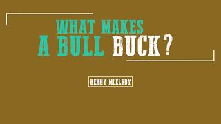 Kenny Mcelroy What Makes A Bull Buck?