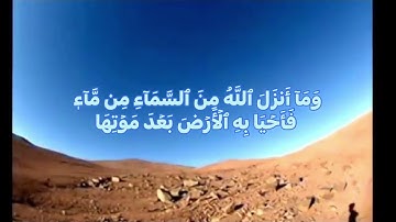 القرآن الكريم سورة البقرة اية 164 القارئ الشيخ محمد صديق المنشاوي رحمه الله صوة خشوع جدًا