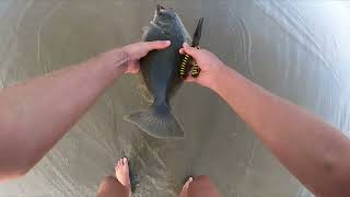 Different Surf Fishing Methods to Target Halibut (Lots of Fish Caught)