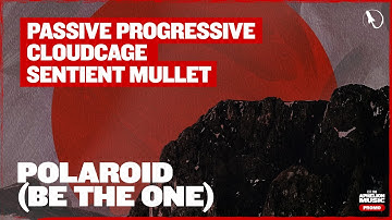 Cloudcage, Passive Progressive, & Sentient Mullet - Polaroid (Be The One) [Extended MIx]