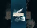 الش يخ سعيد محمد مولانا رحمه الله