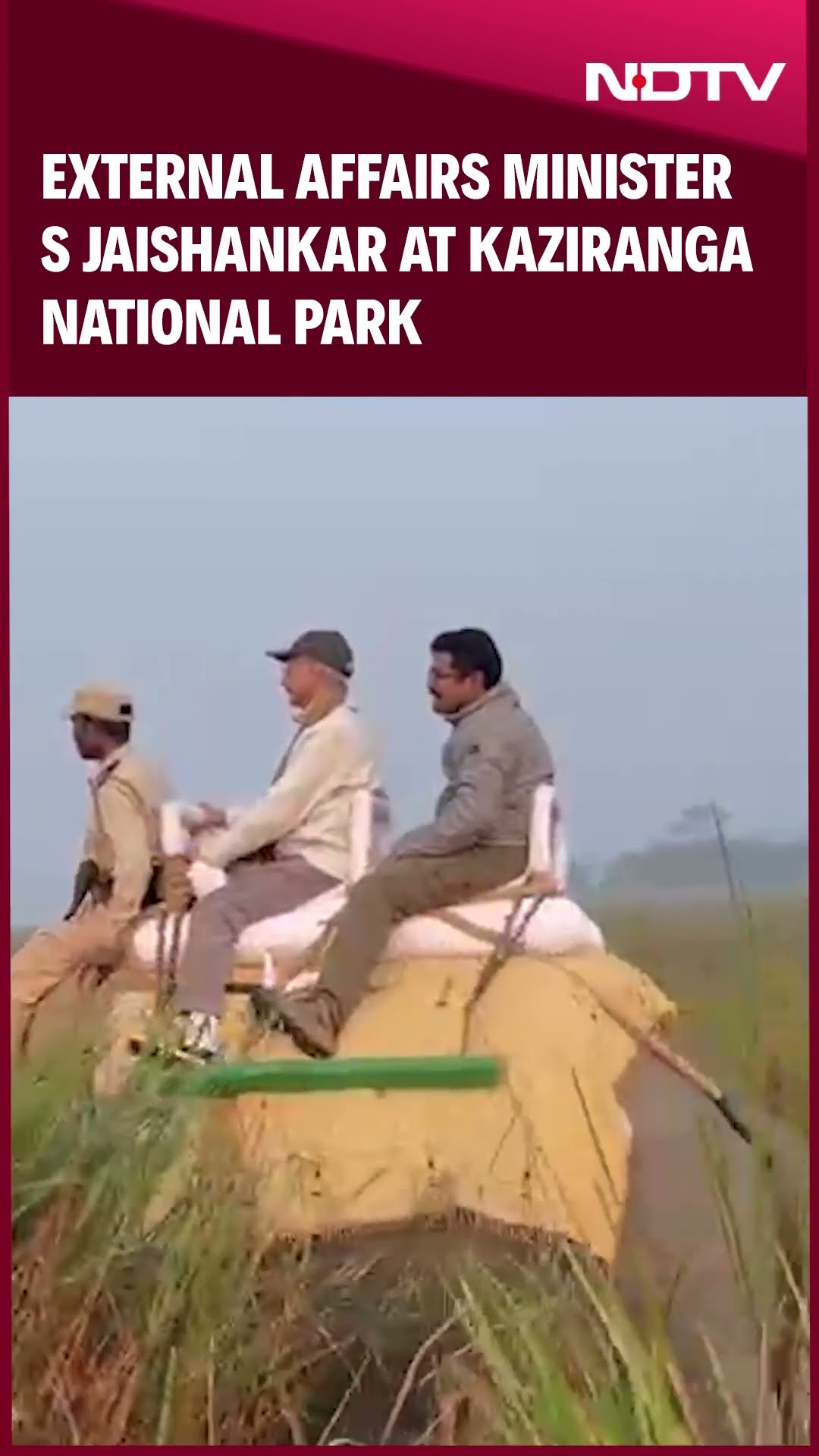 EAM S Jaishankar Enjoys ‘Elephant Safari’ At Kaziranga Wildlife