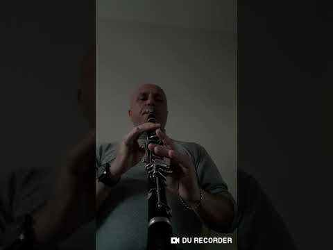Fikrimin İnce Gülü- sibemol klarnet