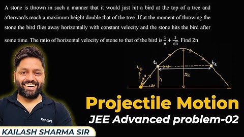 JEE Advanced Physics Problem 02 | Projectile Motion | Equation of Trajectory#jeeadvanced2025