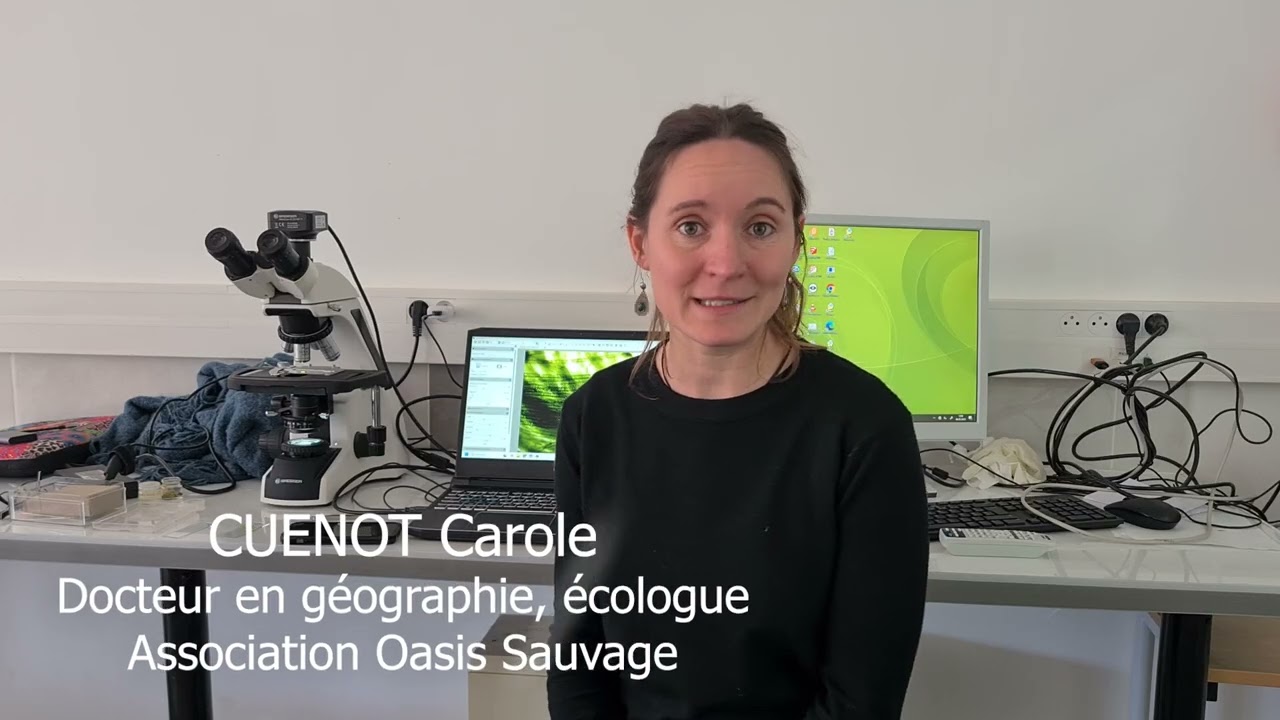 Cordées de la réussite et projet Eco-collège 2025