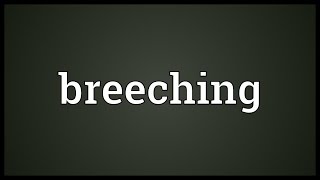 Breeching Meaning