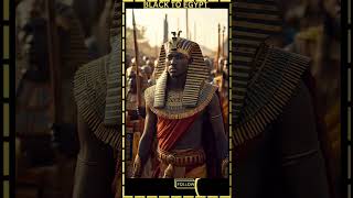 The Last Indigenous Pharaoh nectanbo blackegypt