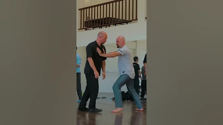 Tai Chi Master demonstrates impressive internal power when pushing hands - Adam Mizner - DayDayNews