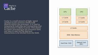 CIST 1001 project