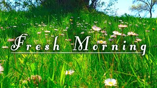 Begin Your Day with the POSITIVE ENERGY of Healing Nature SoundsFresh Morning Spring Ambience#1