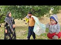 Zahra and saifullahs enchanting spring nature encounter a nomadic lifestyle documentary