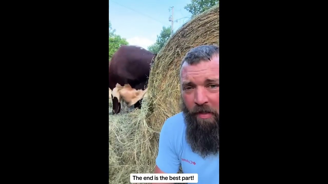 The end is the best part. King of the pasture…