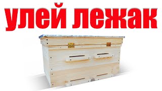 Как работать на пасеке с ульем лежак на 20 рамок пчел
