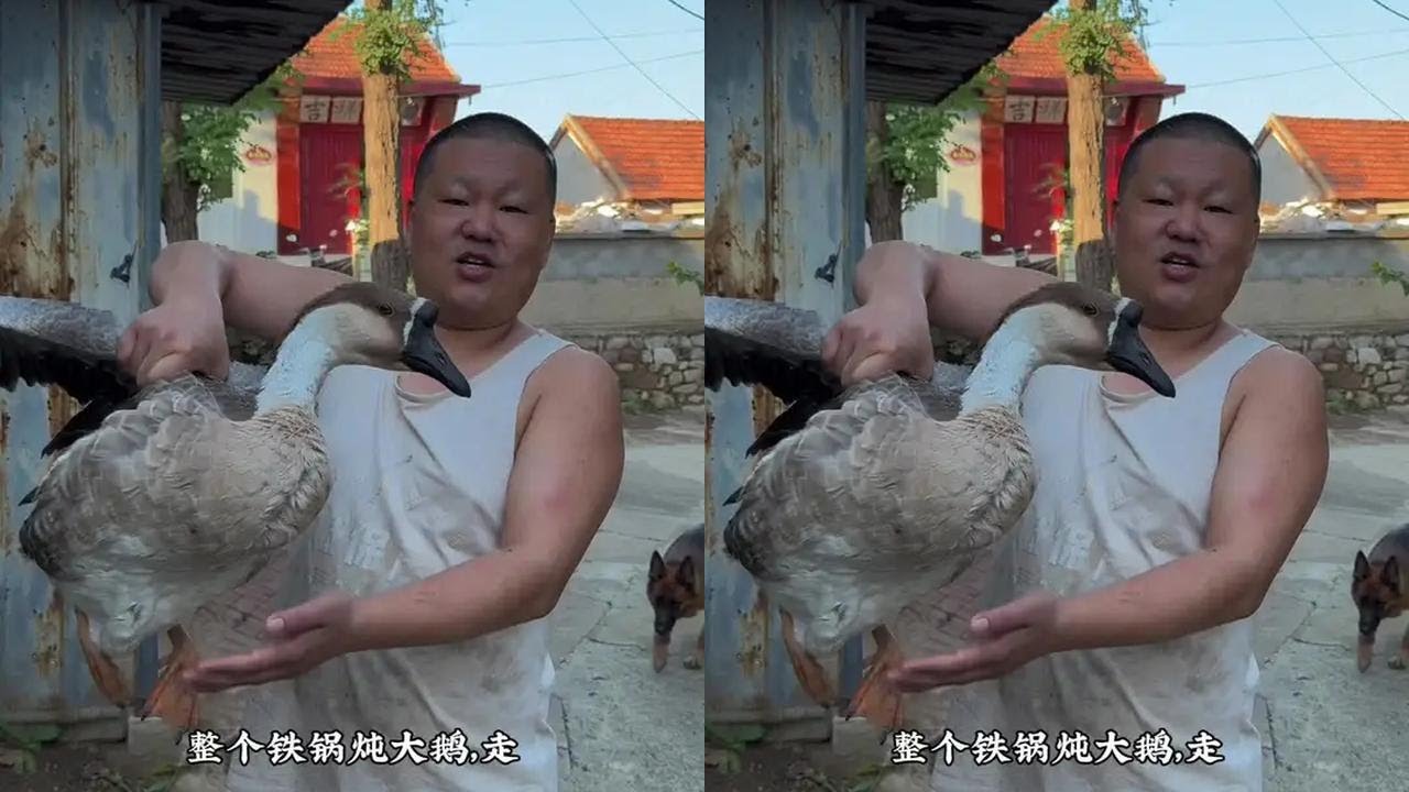 铁锅炖大鹅！#瓜子二手车