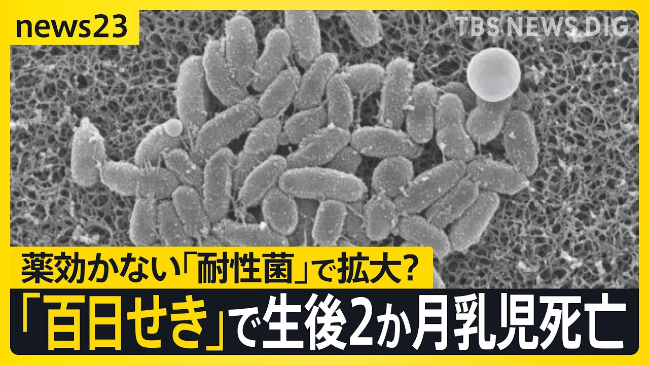 麻生 幾 38℃ 北京SARS医療チーム「生と死」の100日 麻生 幾 38℃ 北京SARS医療チーム「生と死」の100日 Amazon.co.