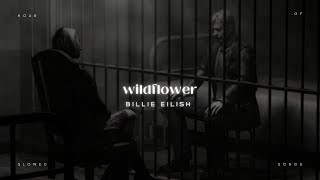 Billie Eilish  Wildflower  1 Hour Loop  Slowed  Reverb 