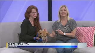 Humane Society on Midday