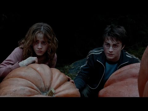 Кадр из фильма «Гарри Поттер и узник Азкабана»