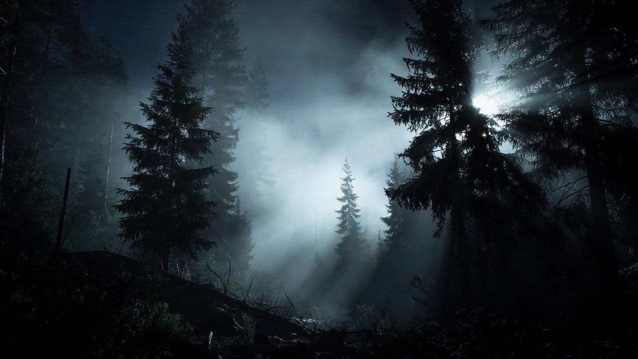 Foggy Forest Moonlight – 1 Hour | Deep Sleep & Relaxing Ambient Music