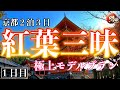 【旅計画はこれで決まり】京都の紅葉 2泊3日 極上モデルプラン [1日目]