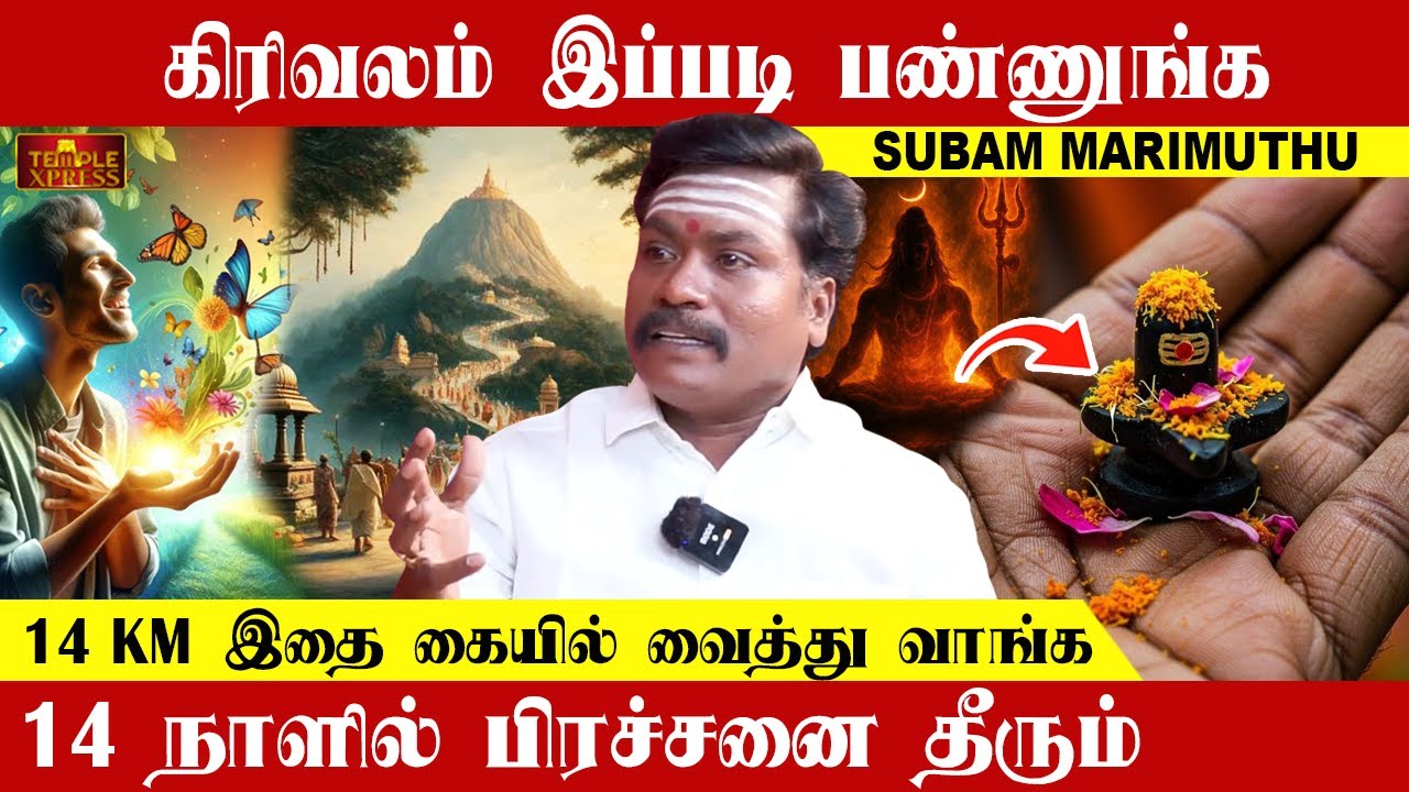 Отправляйтесь в Гиривалам, чтобы решить свои проблемы за 14 дней | Субам Маримуту #tiruvannamalai...