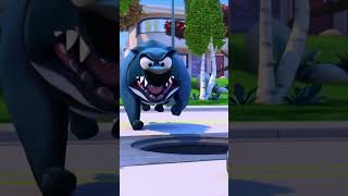 Sin Quererlo, El Indefenso Pececito Boby Viajará Por Toda La Ciudad