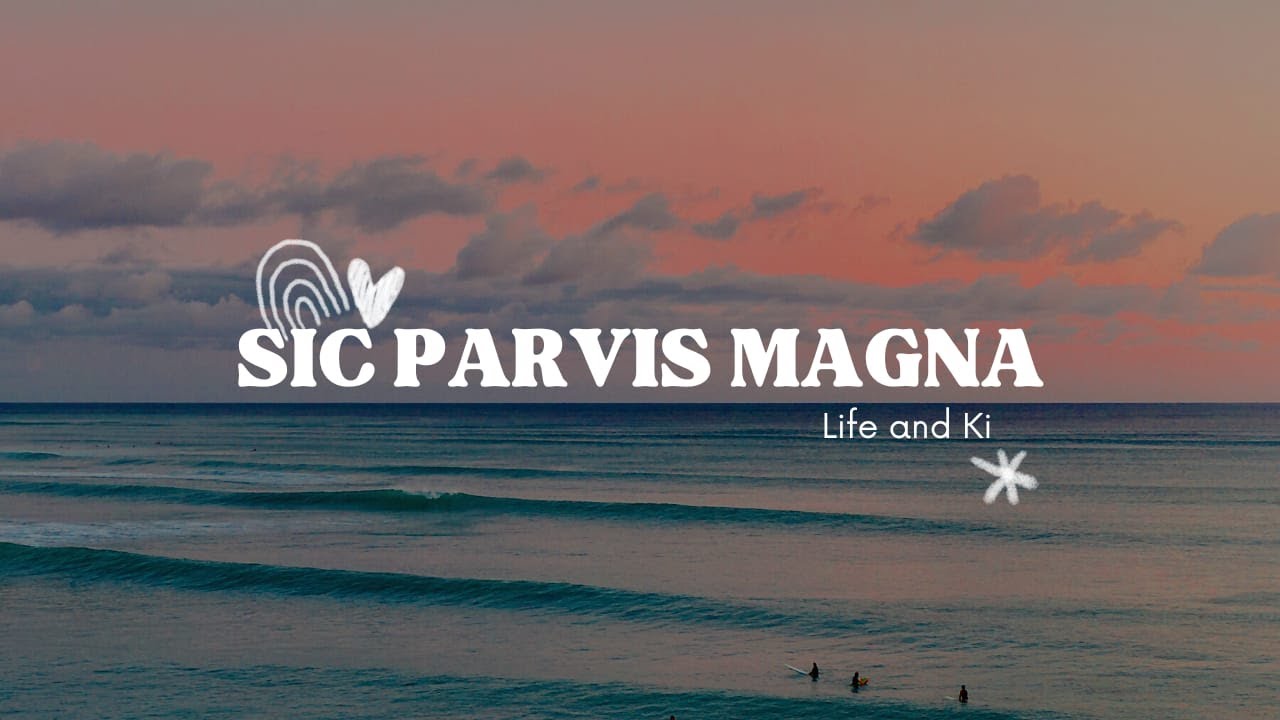 What is Sic Parvis Magna? Quotes by Virgil Life and