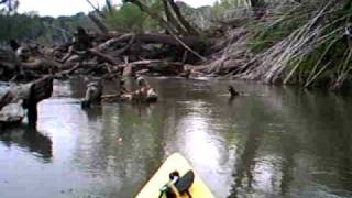 The Log Jam