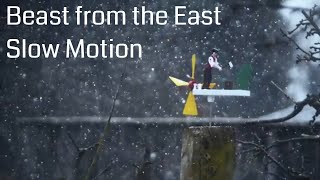Beast from the East in Slow Motion | RAW Chronos 1.4 | PBTV