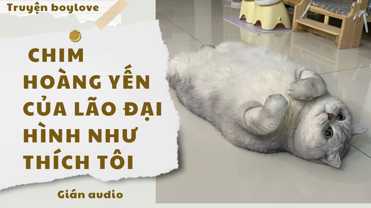 [ĐAM MỸ] CHIM HOÀNG YẾN CỦA LÃO ĐẠI HÌNH NHƯ THÍCH TÔI