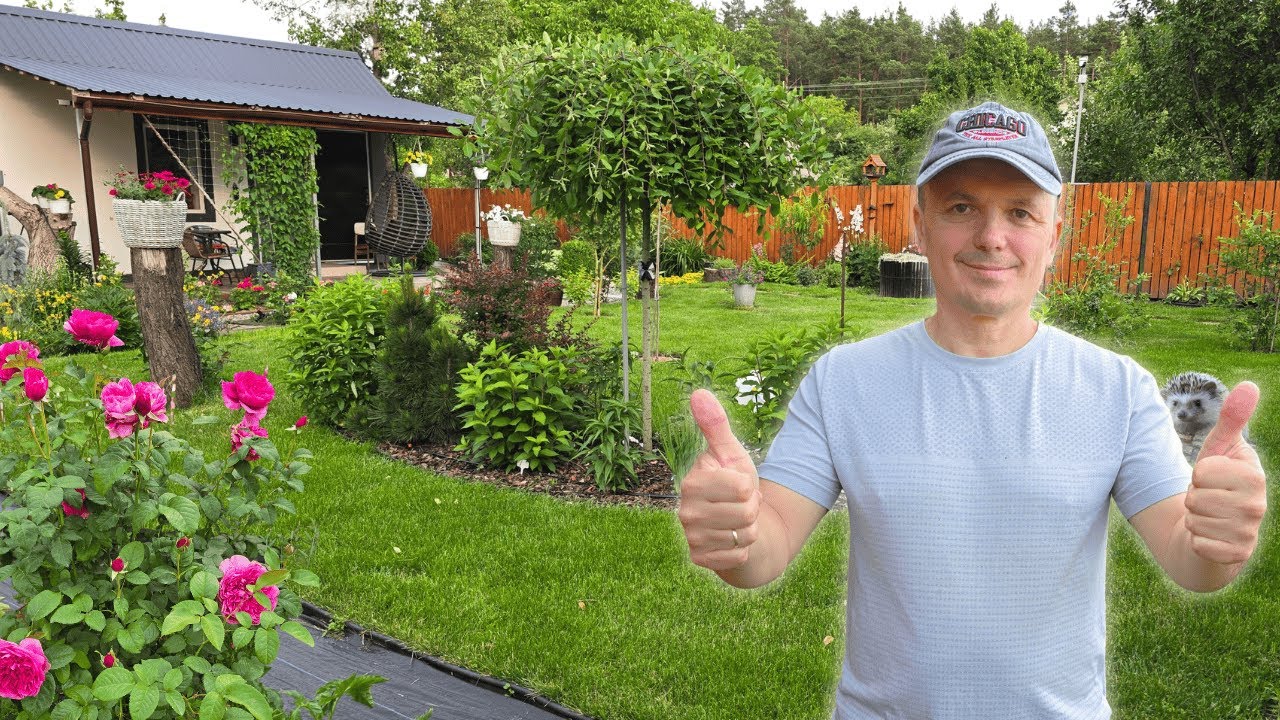 Квіти на дачі, від яких перехоплює подих! Прогулянка в спеку 🌹