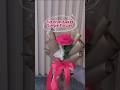 tutorial buket single flower #shorts #shortvideo #buket #buketbunga