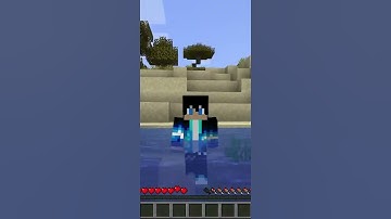 Minecraft, But Damage Gives Random Effect...