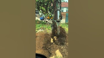 I am happy to use an excavator to pull out tree roots #shorts